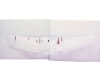 figures_in_surf24lg