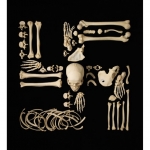 swastika_24x