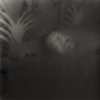 rosenthal-045