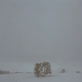 fin0703-05-12