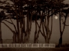 twilight-reverie