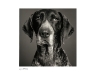 perros-book-6-copy