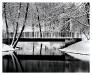 december_bridge_lg