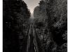 train_tracks_lg