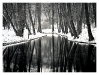 winter_reflections_lg