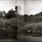 Artist Redefines Photographic Memories by Integrating Imagination and an Ability to Rewind