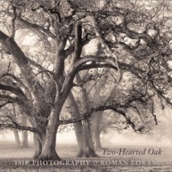 Two Hearted Oak: The Photography of Roman Loranc